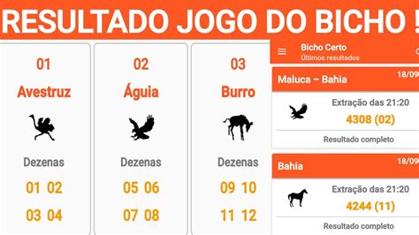 o resultado do jogo do bicho das 18 horas - resultado do jogo bicho 18 horas rio